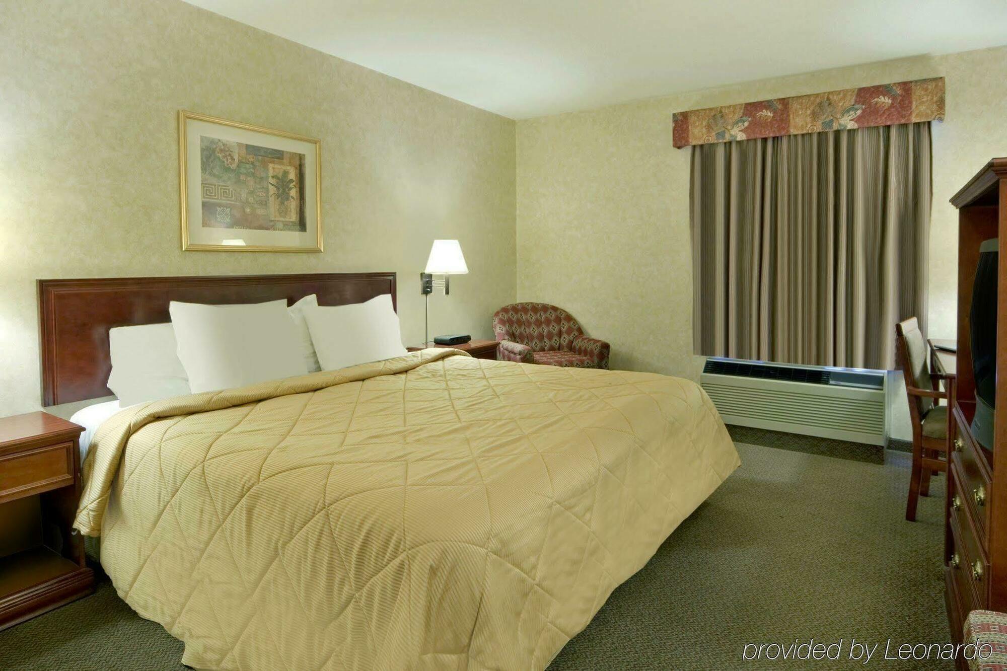 Comfort Inn & Suites University Calgary Chambre photo